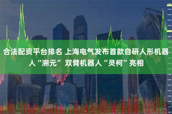 合法配资平台排名 上海电气发布首款自研人形机器人“溯元” 双臂机器人“灵柯”亮相