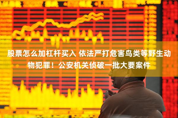 股票怎么加杠杆买入 依法严打危害鸟类等野生动物犯罪！公安机关侦破一批大要案件